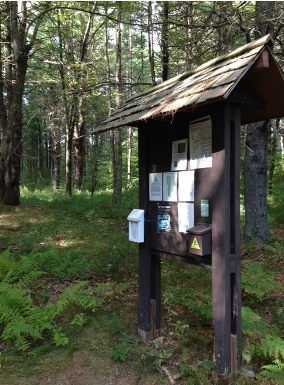 Camp Acton