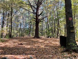 Camp Acton #1