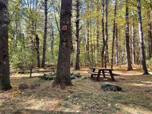 Camp Acton #2