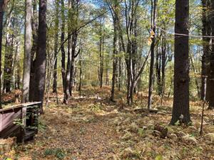 Camp Acton #3