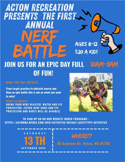 Nerf Flyer